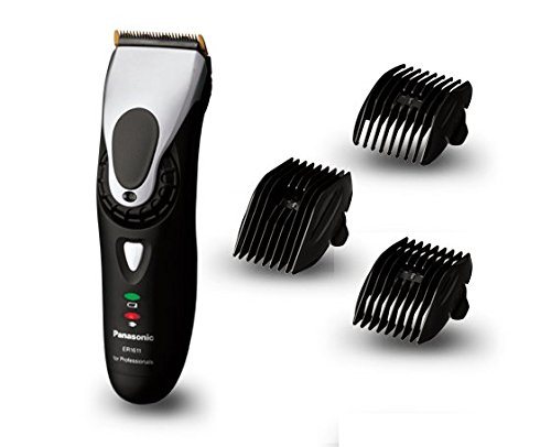 2panasonicbis