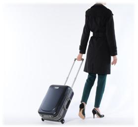 valise-trolley-bagage