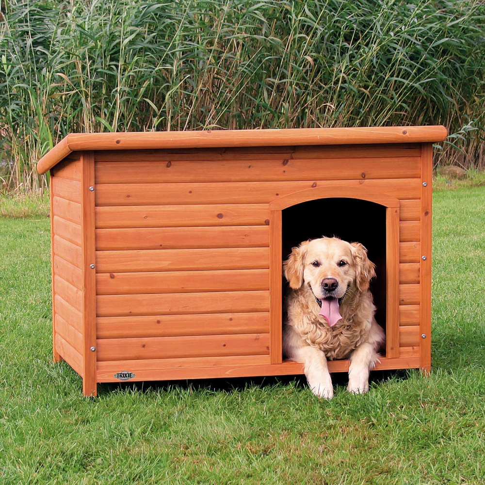 Meilleure niche pour chien du moment en juillet 2020