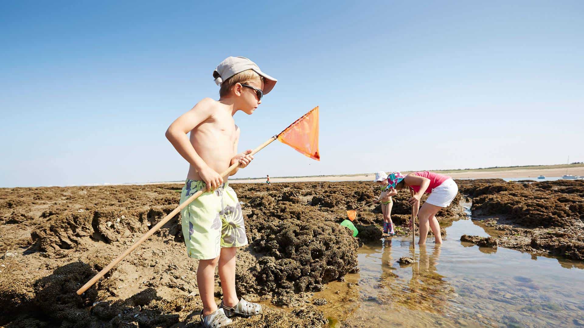 petit garçon qui pêche à l'épuisette