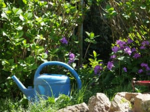 arrosoir blau