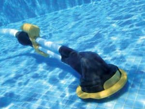balais de piscine long