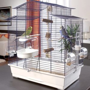 cage à oiseaux 