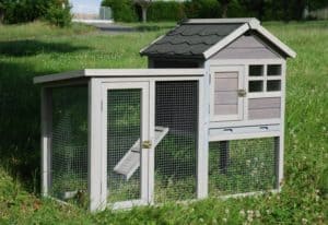 cage de lapin en bois