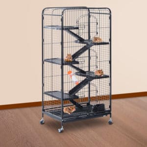cage de rat grande