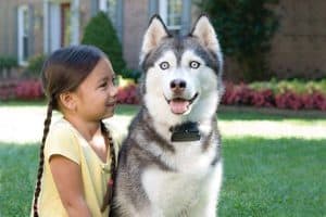 fille et chien avec un collier anti fugue 