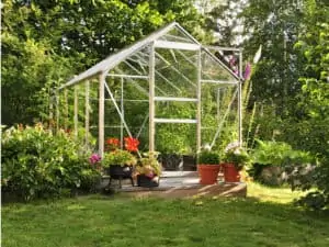 serre de jardin en bois
