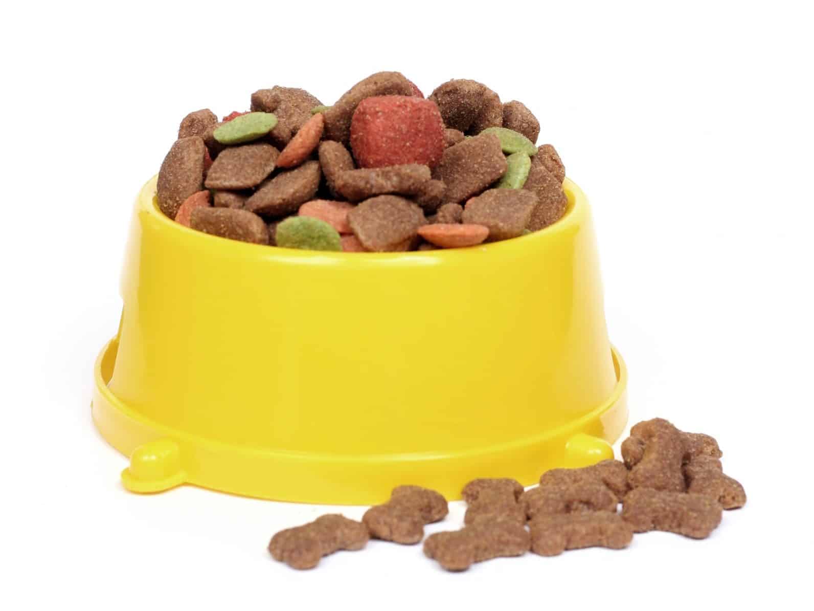 Croquettes pour chien : quelle marque choisir ? en mai 2021