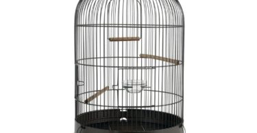 cage à oiseaux