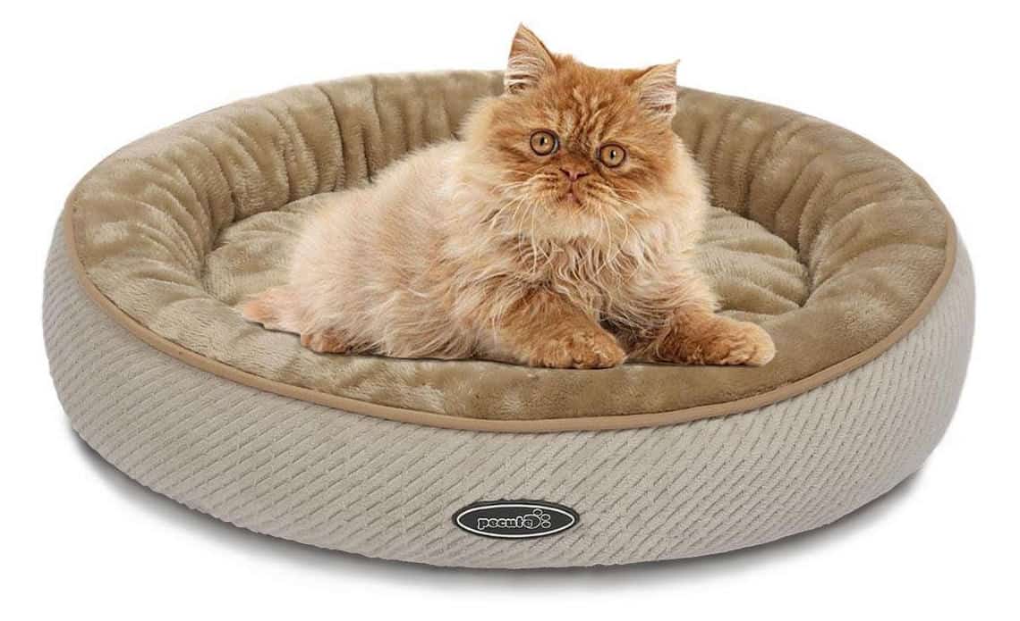 Panier pour chat quel modèle choisir ? en novembre 2024