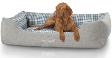 paniers pour chien