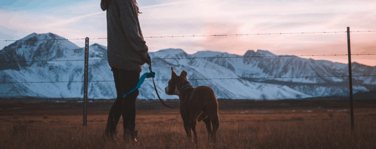 femme et chien avec collier de dressage pour chien