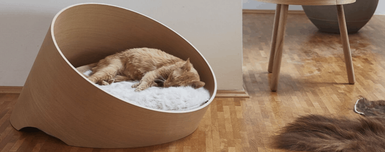 panier pour chat moderne