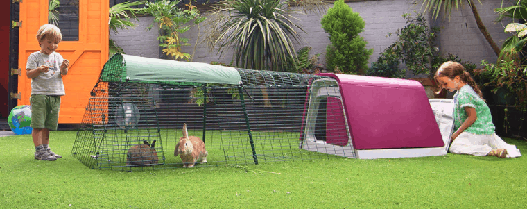 grande cage de lapin