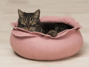panier pour chat rose