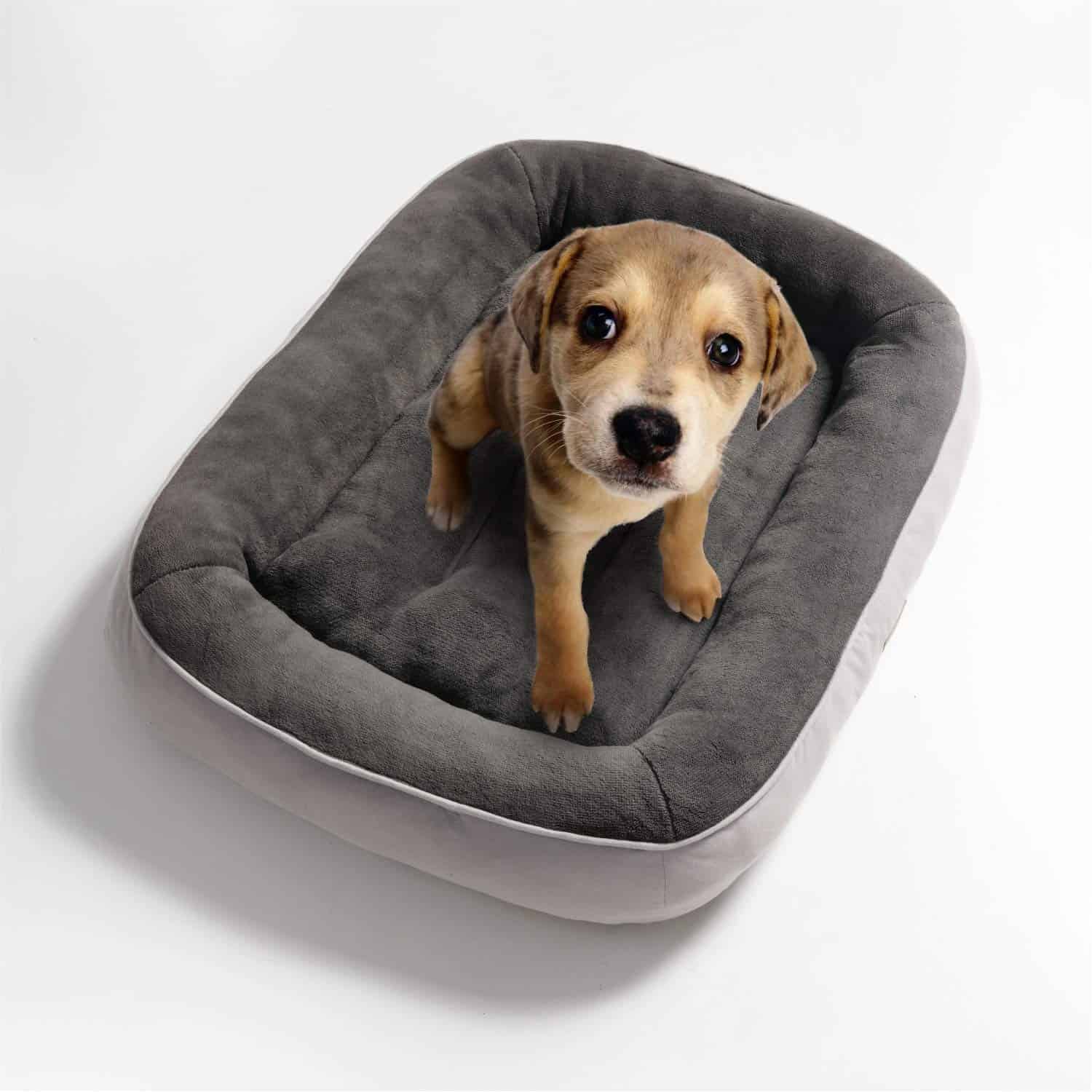 Les meilleurs paniers pour chien du moment en novembre 2024