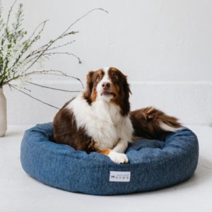 grand chien dans un panier pour chien