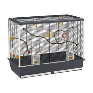 cage à oiseaux avec accessoires