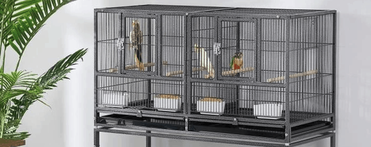 cage à oiseaux longue