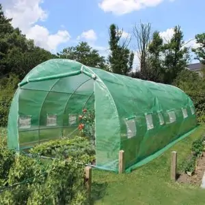serre de jardin verte