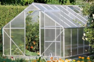 serre de jardin transparente