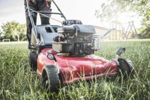 tondeuses á gazon thermique pour le jardin