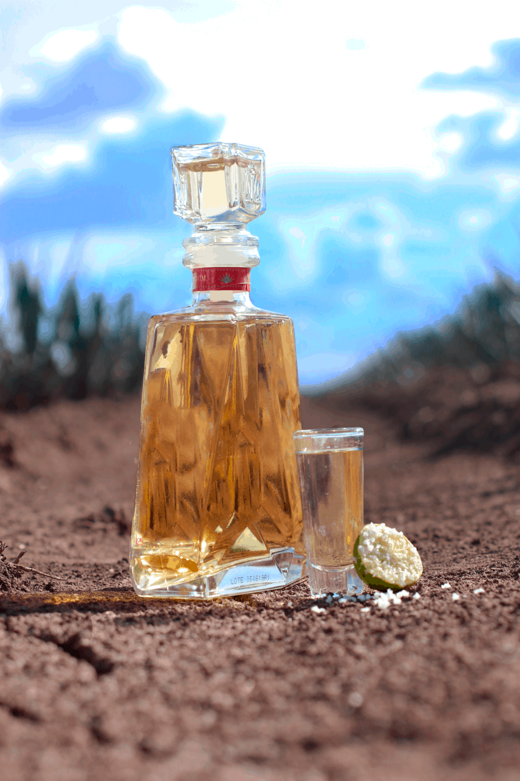 Comparatif tequila test et avis en janvier 2024
