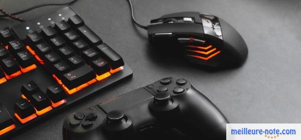 Un souris gamer avec une manette et un clavier