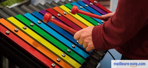 un homme joue au xylophone multi-couleur