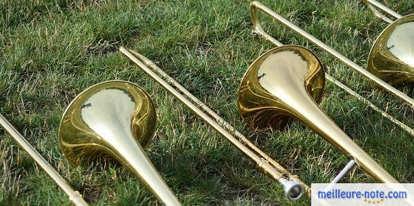 Trois trombone sur une pelouse