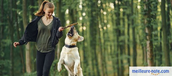 une femme joue avec son chien au parc