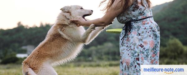 un chien saute devant sa maitresse