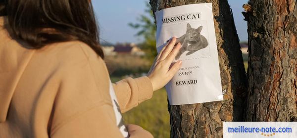 une affiche d'un chat perdu