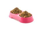 double gamelle rose remplie de croquettes pour chat