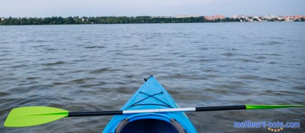 Une pagaie simple sur un kayak
