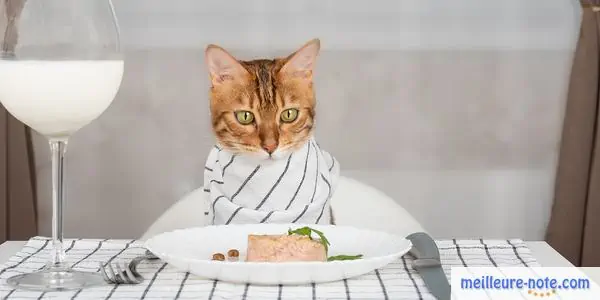 chat à table avec pâtée dans son assiette et verre de lait