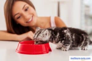 jeune souriant devant son petit chaton qui mange