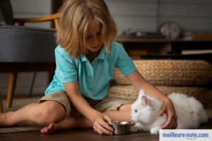 petit garçon qui nourrit son chaton blanc