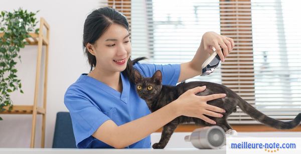 Un chat qui se fait enlever les nœud chez le vétérinaire