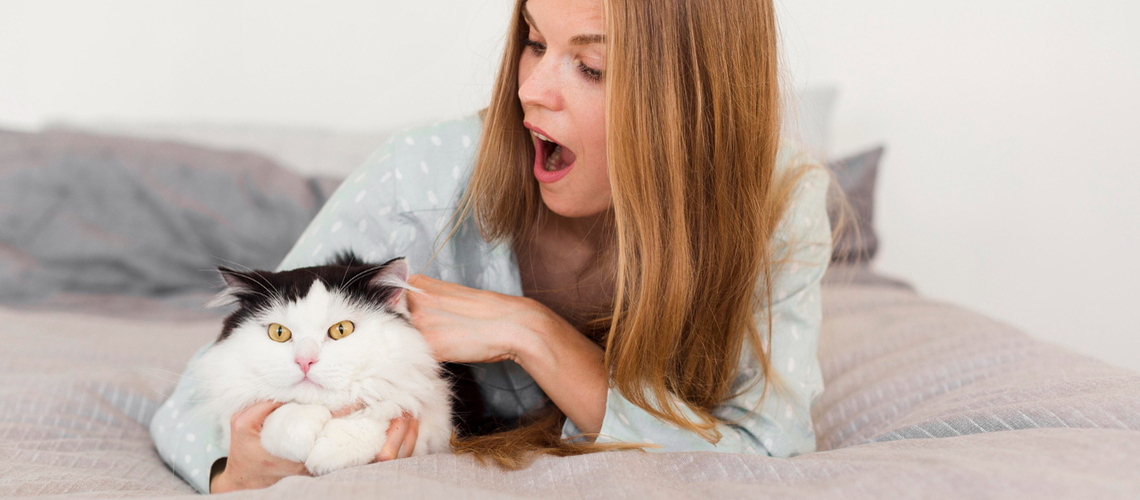 Chat et problème de gaz