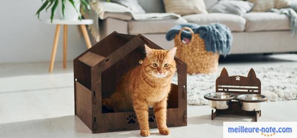 un chat à l'intérieur d'une petite maison