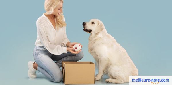 un chien blanc avec sa maîtresse