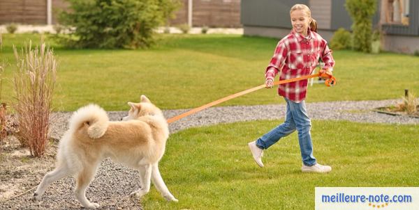 une petite fille et son chien dans le parc