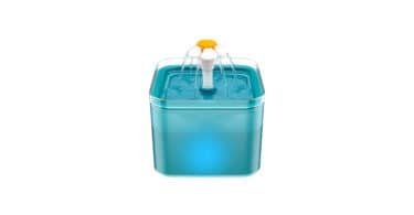 fontaine qui distribue de l'eau pour animaux de compagnie