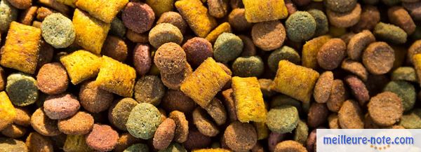 des croquettes colorés pour chat