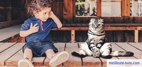 Un enfant et un chat assis à l'extérieur