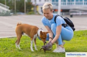 un chien avec sa maîtresse font une promenade