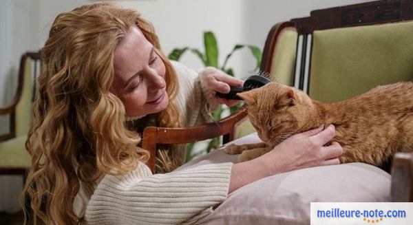 Une maîtresse qui brosse les poils de son chat