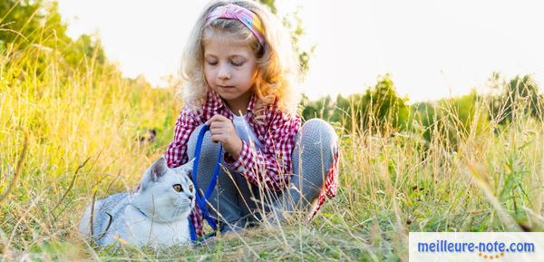 Une petite fille et son chat