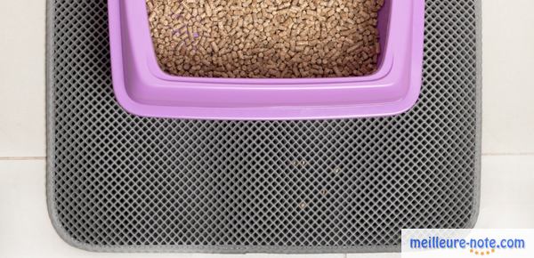 une litière violette sur un tapis gris
